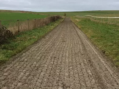 This image shows a prepared equestrian gallop track with a sand and fibre surface, bordered by fencing and open farmland.