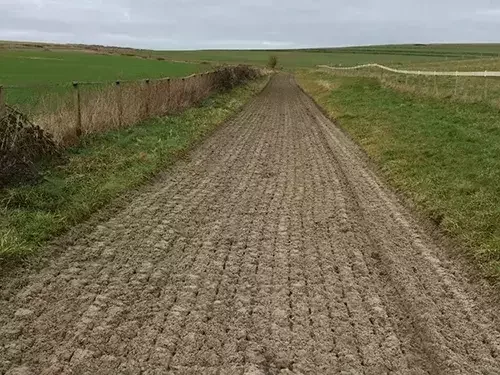 This image shows a prepared equestrian gallop track with a sand and fibre surface, bordered by fencing and open farmland.