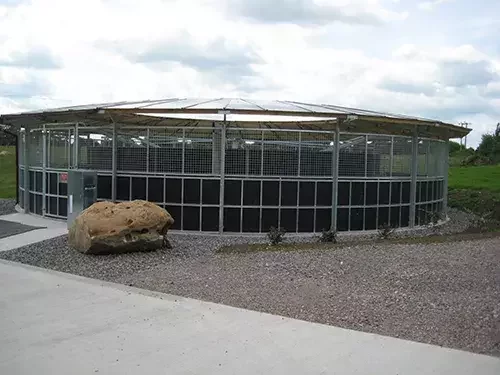 This image shows a covered equestrian horse walker with a steel frame and mesh panels, designed for safe horse exercise and training.
