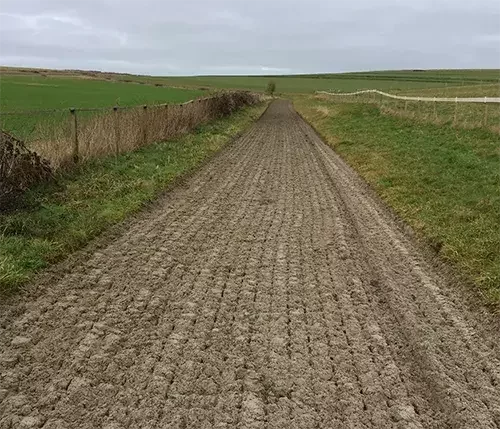 This image shows a purpose-built all-weather gallop with specialist surface materials, designed for durability, drainage, and safe year-round horse training.
