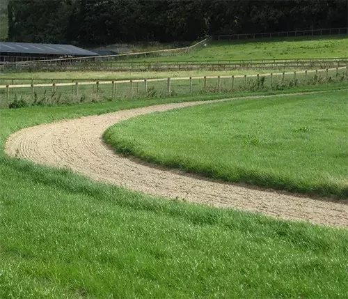 This image shows a carefully planned gallop track with expert gradient and corner radius design for safe, smooth horse training.