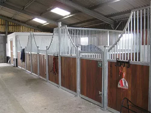 This image shows modern internal horse stables with timber fronts and steel partitions inside a stable block.