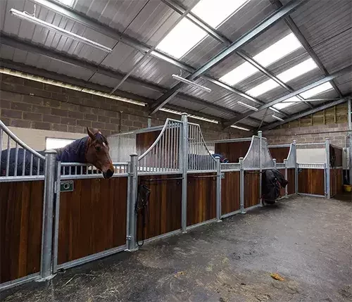 This image shows an indoor stable block with steel partitions and timber fronts, purpose-built for horse comfort and safety with secure, well-ventilated stalls.