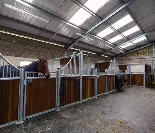 This image shows an indoor stable block with steel partitions and timber fronts, purpose-built for horse comfort and safety with secure, well-ventilated stalls.
